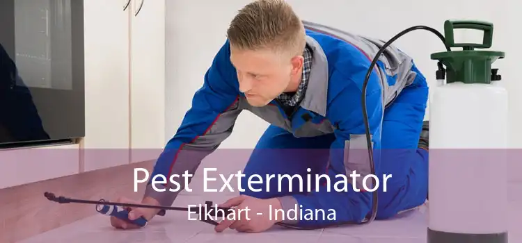 Pest Exterminator Elkhart - Indiana