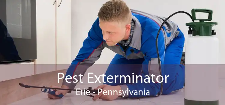 Pest Exterminator Erie - Pennsylvania