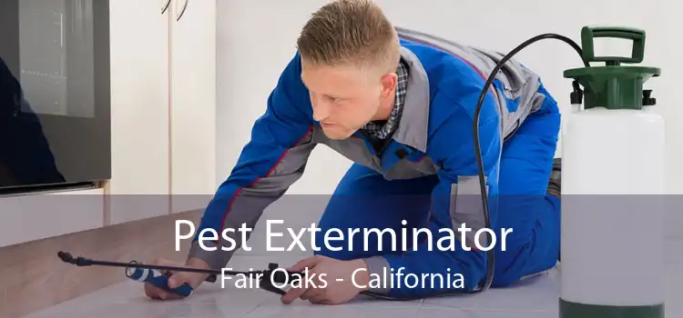 Pest Exterminator Fair Oaks - California