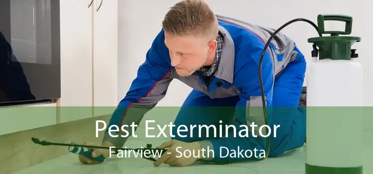Pest Exterminator Fairview - South Dakota