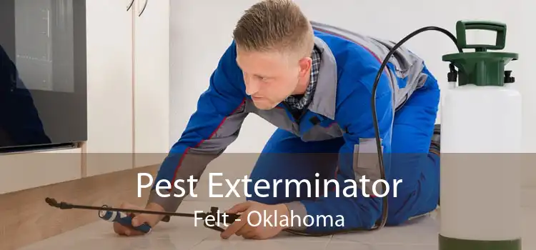Pest Exterminator Felt - Oklahoma