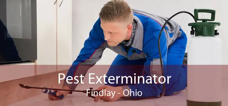 Pest Exterminator Findlay - Ohio
