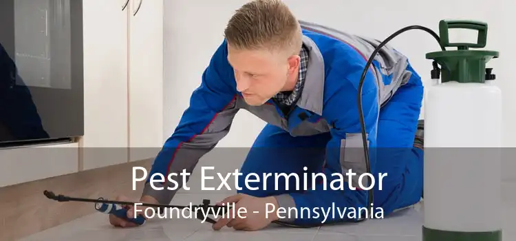 Pest Exterminator Foundryville - Pennsylvania