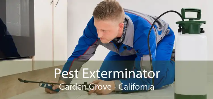 Pest Exterminator Garden Grove - California