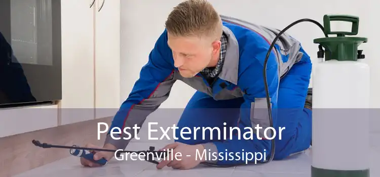 Pest Exterminator Greenville - Mississippi