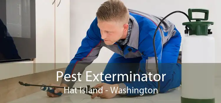Pest Exterminator Hat Island - Washington