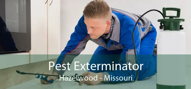Pest Exterminator Hazelwood - Missouri