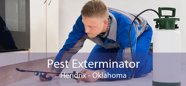 Pest Exterminator Hendrix - Oklahoma