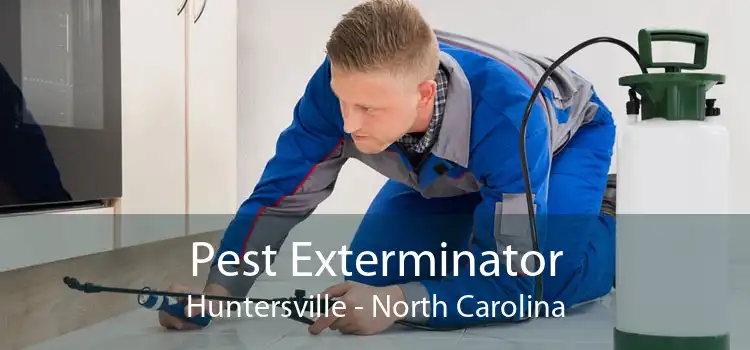 Pest Exterminator Huntersville - North Carolina