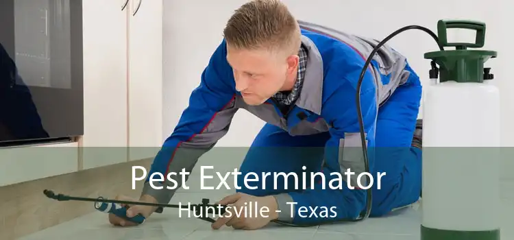 Pest Exterminator Huntsville - Texas