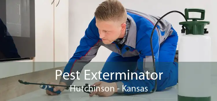 Pest Exterminator Hutchinson - Kansas