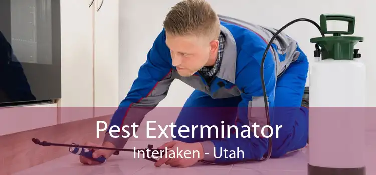 Pest Exterminator Interlaken - Utah