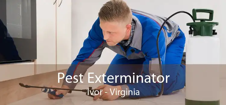 Pest Exterminator Ivor - Virginia