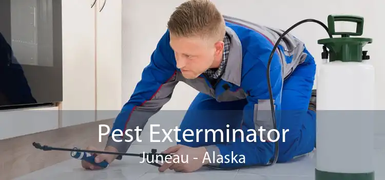Pest Exterminator Juneau - Alaska