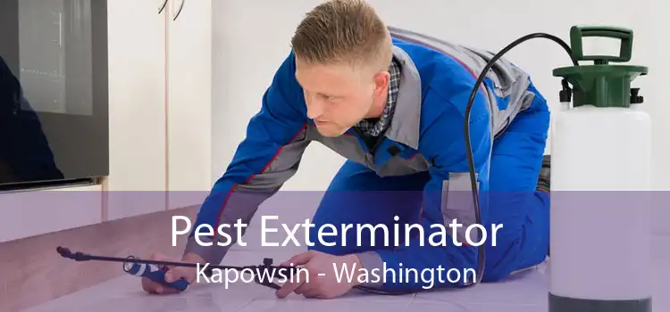 Pest Exterminator Kapowsin - Washington