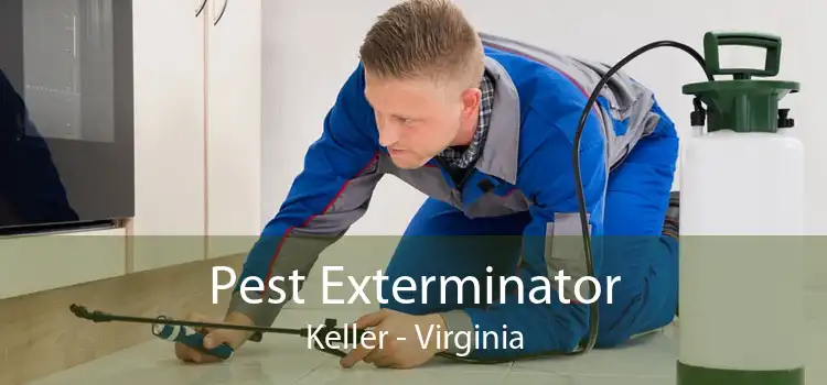Pest Exterminator Keller - Virginia