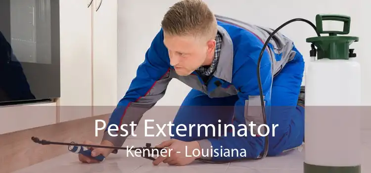 Pest Exterminator Kenner - Louisiana