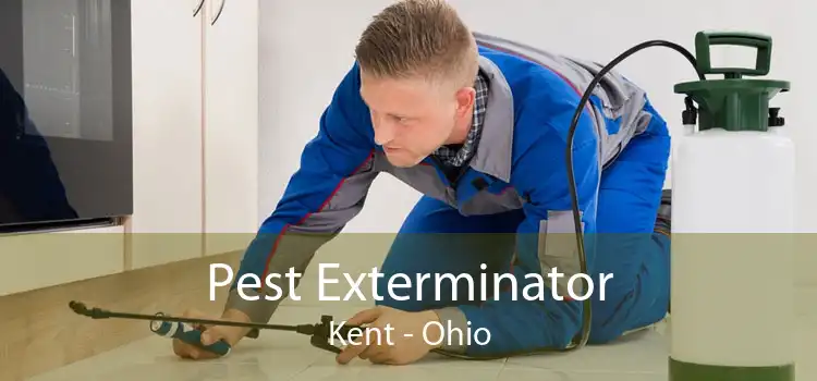 Pest Exterminator Kent - Ohio