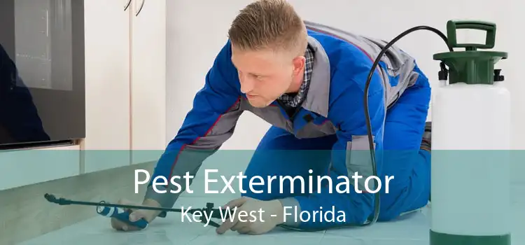 Pest Exterminator Key West - Florida