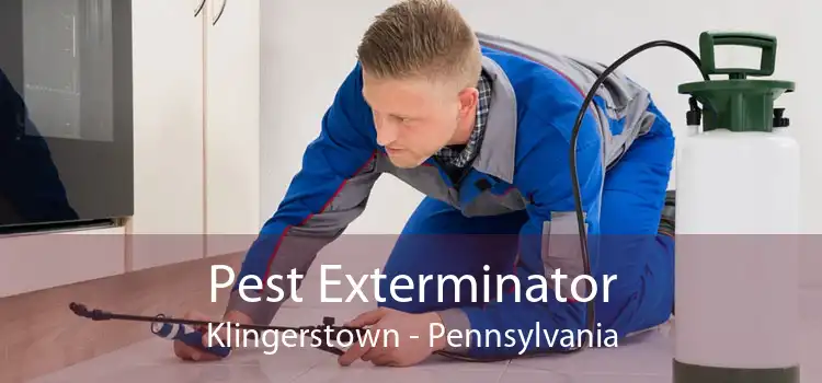 Pest Exterminator Klingerstown - Pennsylvania