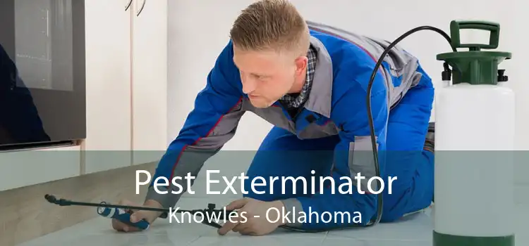Pest Exterminator Knowles - Oklahoma