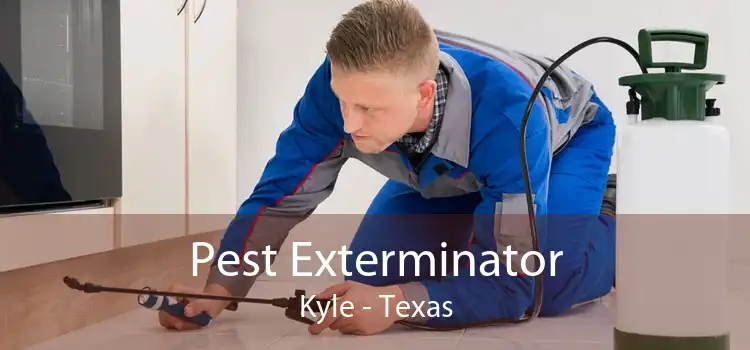 Pest Exterminator Kyle - Texas
