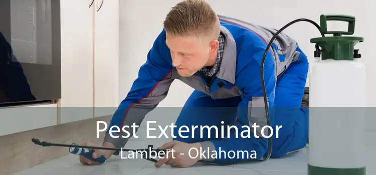 Pest Exterminator Lambert - Oklahoma