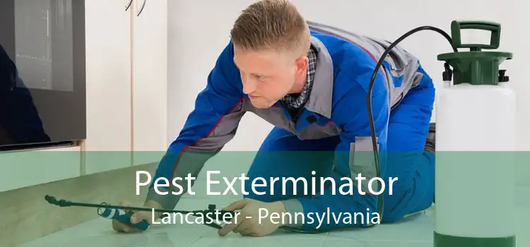 Pest Exterminator Lancaster - Pennsylvania
