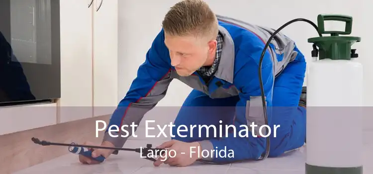 Pest Exterminator Largo - Florida