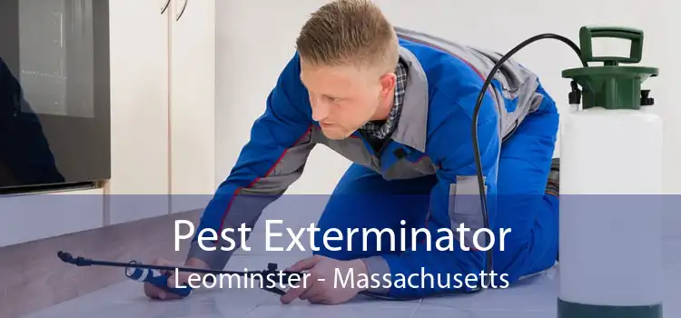 Pest Exterminator Leominster - Massachusetts