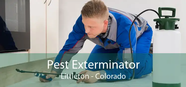 Pest Exterminator Littleton - Colorado