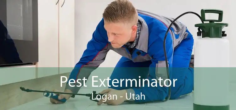 Pest Exterminator Logan - Utah