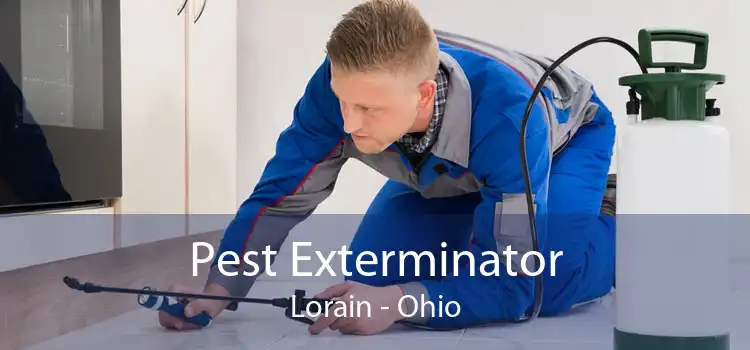 Pest Exterminator Lorain - Ohio