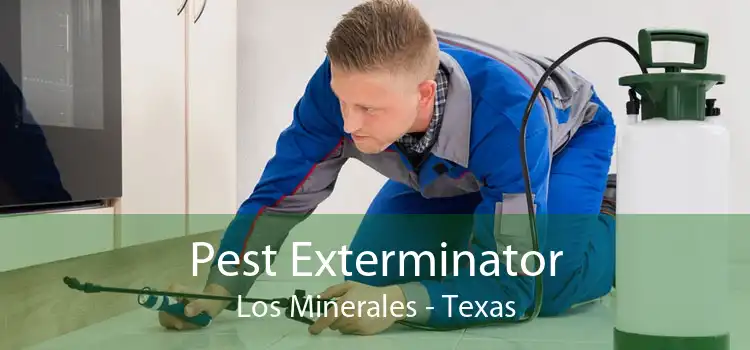 Pest Exterminator Los Minerales - Texas