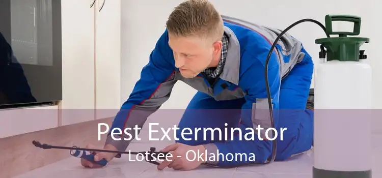 Pest Exterminator Lotsee - Oklahoma