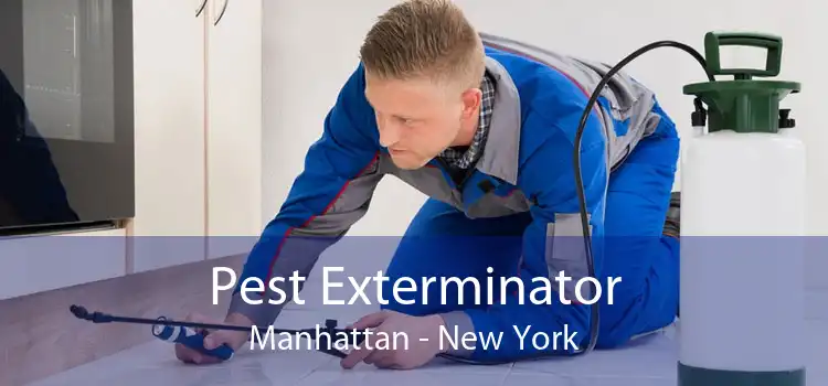 Pest Exterminator Manhattan - New York