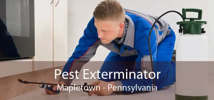 Pest Exterminator Mapletown - Pennsylvania