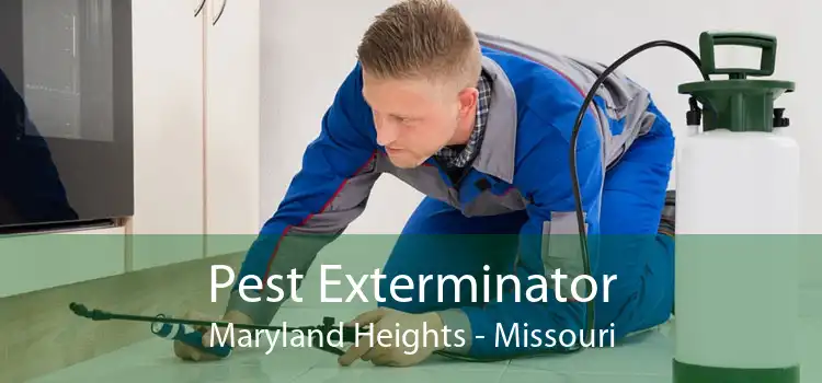 Pest Exterminator Maryland Heights - Missouri