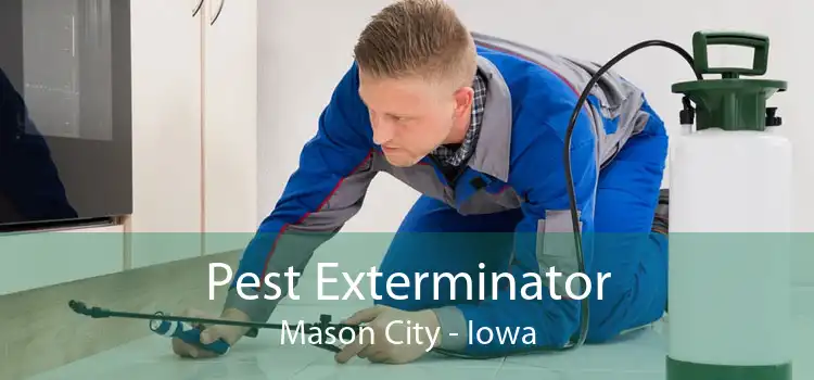Pest Exterminator Mason City - Iowa
