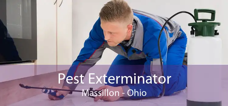 Pest Exterminator Massillon - Ohio
