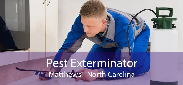 Pest Exterminator Matthews - North Carolina