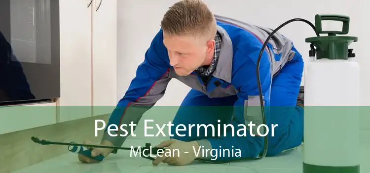 Pest Exterminator McLean - Virginia