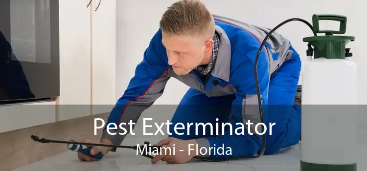 Pest Exterminator Miami - Florida