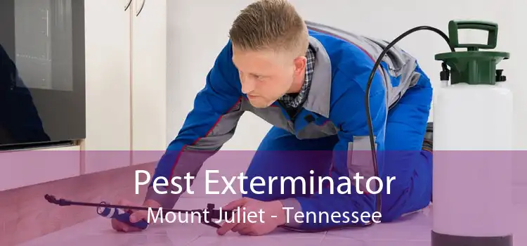 Pest Exterminator Mount Juliet - Tennessee