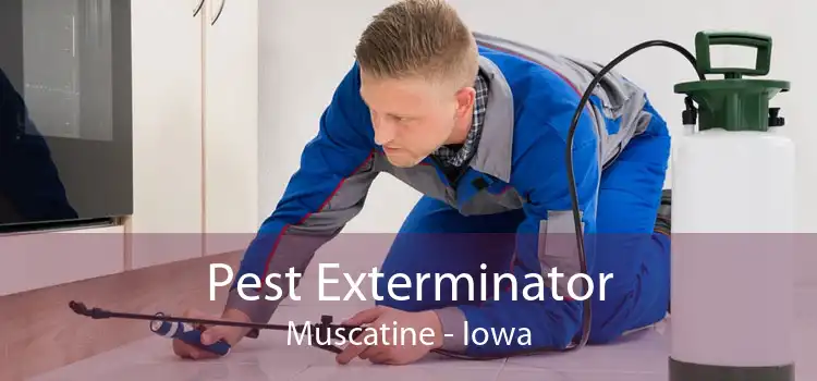 Pest Exterminator Muscatine - Iowa
