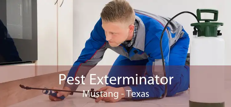 Pest Exterminator Mustang - Texas