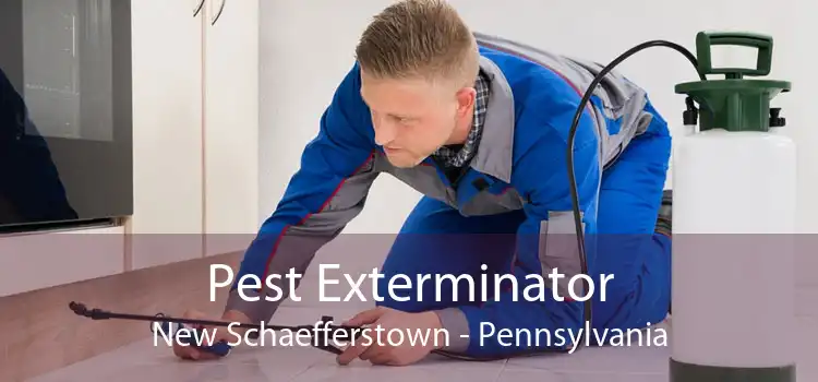 Pest Exterminator New Schaefferstown - Pennsylvania