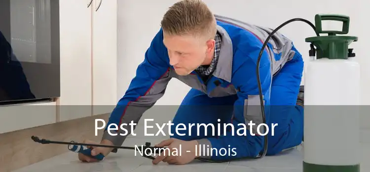 Pest Exterminator Normal - Illinois