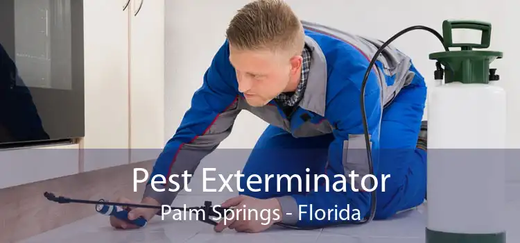 Pest Exterminator Palm Springs - Florida