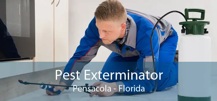 Pest Exterminator Pensacola - Florida